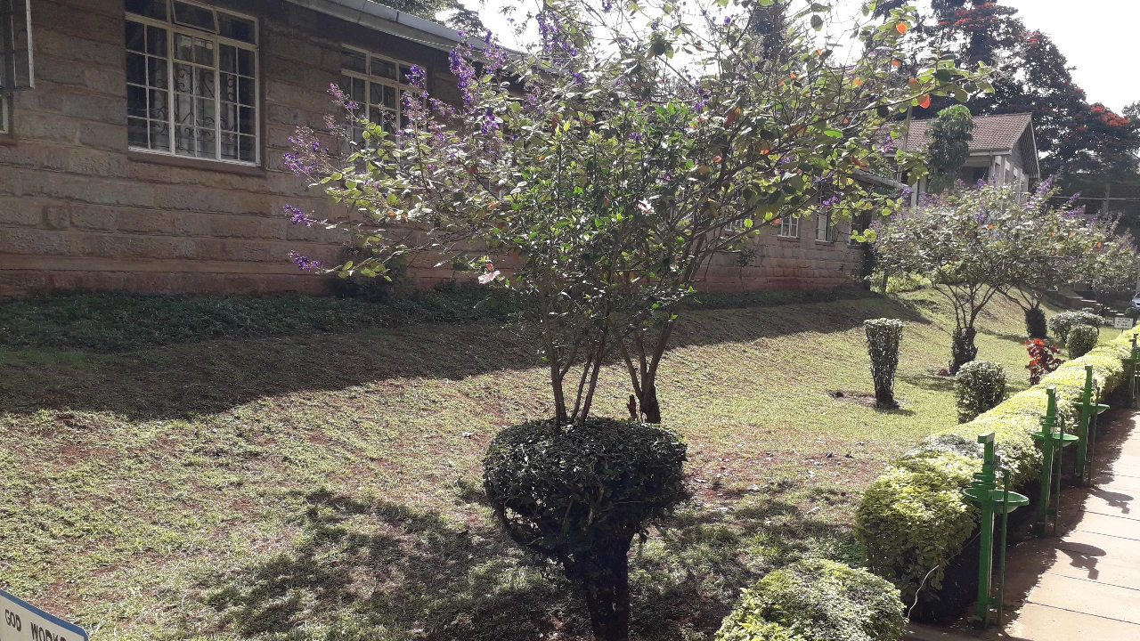  Historical Perspective