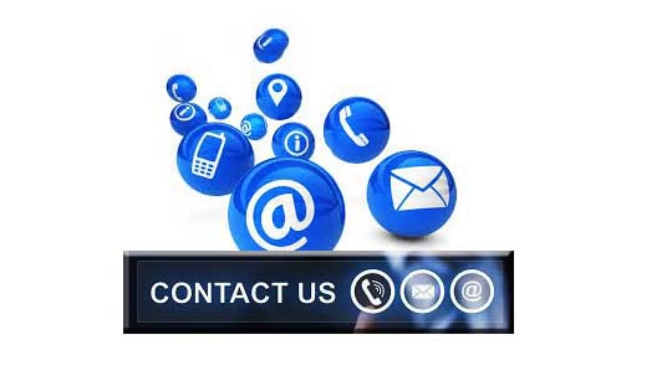 OUR CONTACT