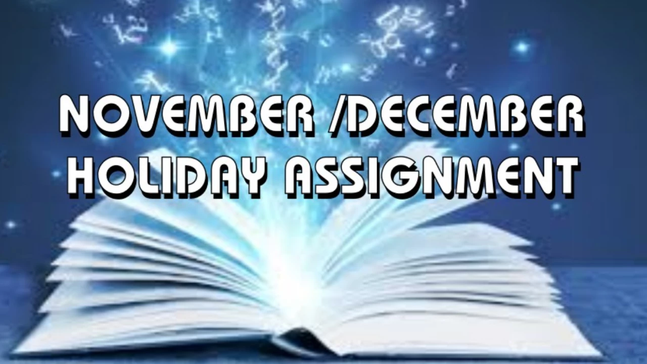 NOVEMBER/ DECEMBER HOLIDAY ASSIGNMENT (2025)