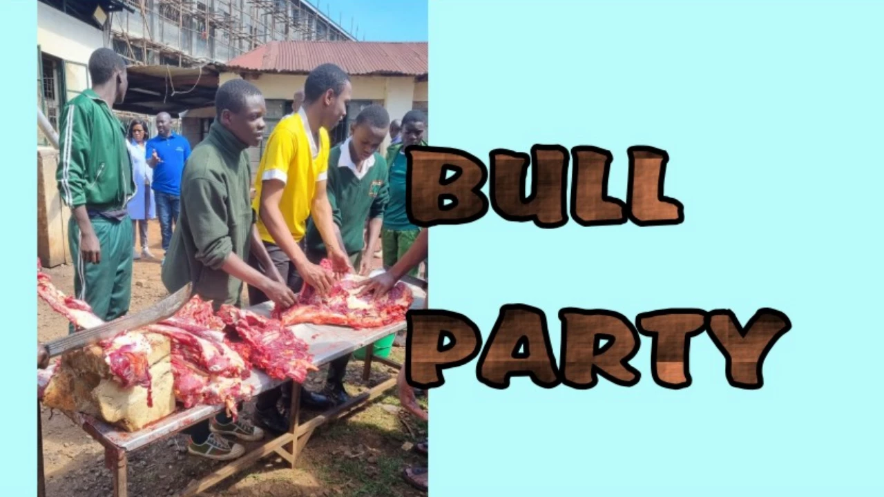 BULL PARTY COMPETITION 2025