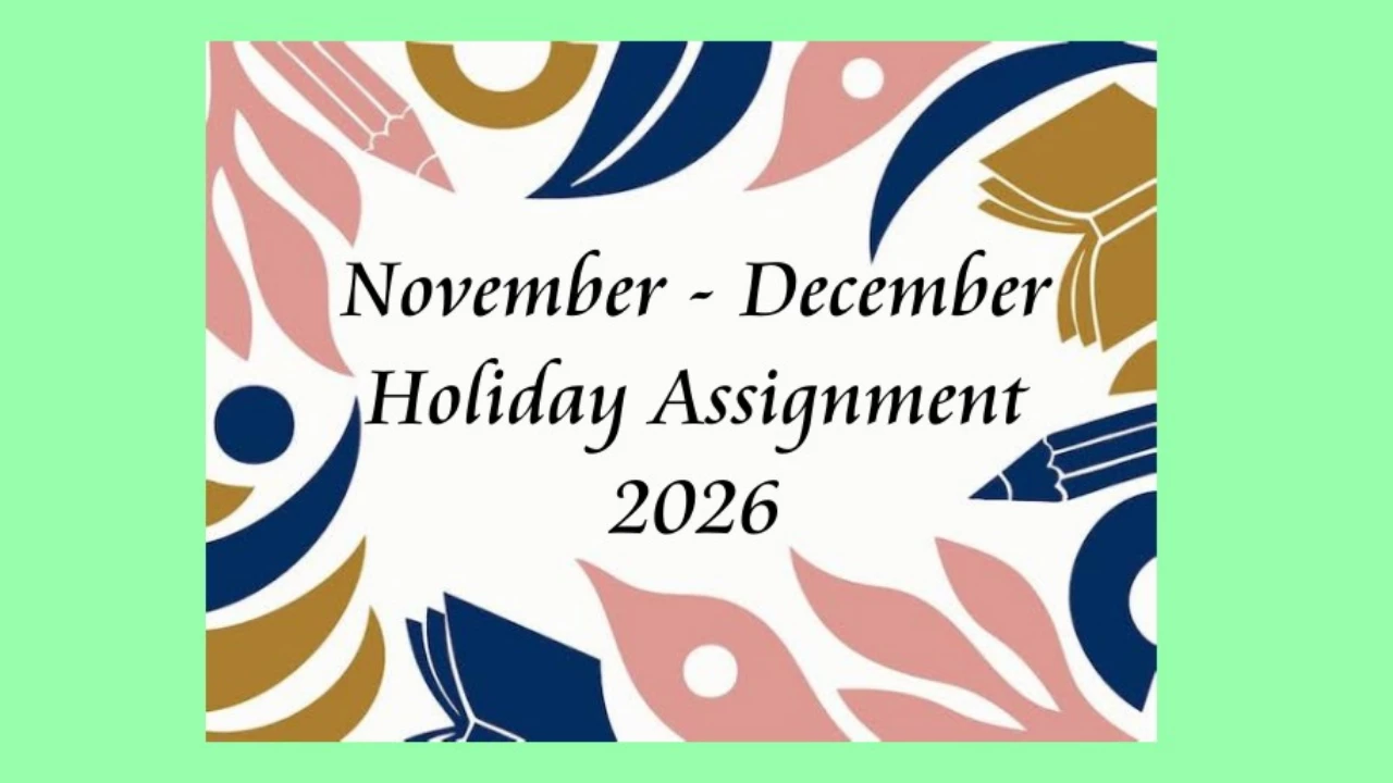 NOVEMBER / DECEMBER ASSIGNMENT (2026)