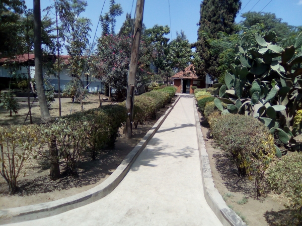 Time Management Tips