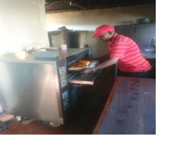 Administrative structure and  Teaching Staff