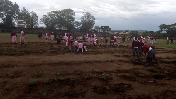 Time Management Tips