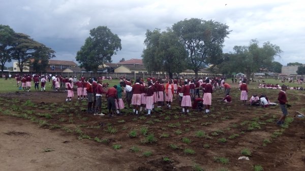 Time Management Tips